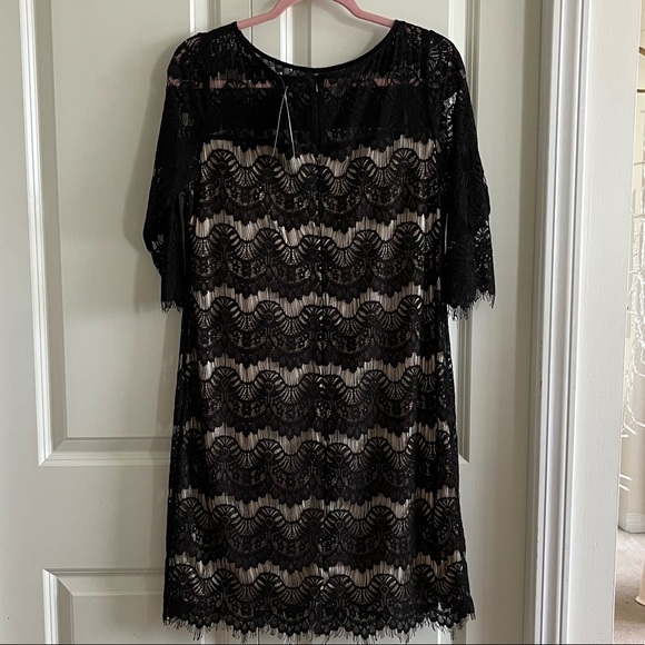 Wallis Uk 14 Timeless Black Lace Beige Lined Lace Shift Dress - Picture 6 of 8